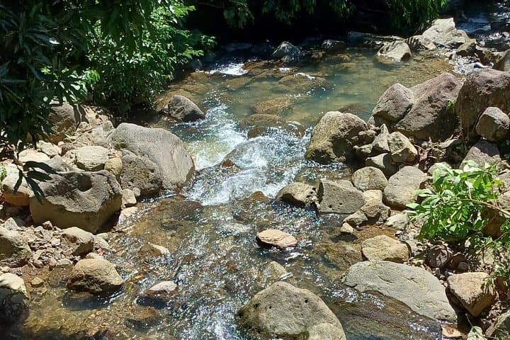 Hiking the Sleeping Indian: Steep Rainforest Trails of El Valle de Antón photo 4