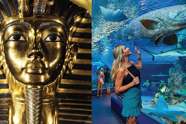 Cairns Combo: Tomb of the Pharaohs and Cairns Aquarium — Complete Visitor Guide