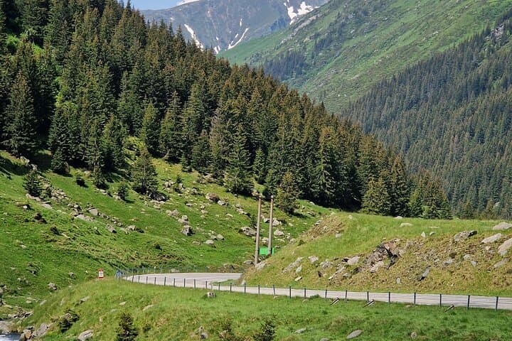 Bucharest to Peles Castle, Brașov & Sibiu: 2-Day Cultural Road Trip through the Southern Carpathians photo 6