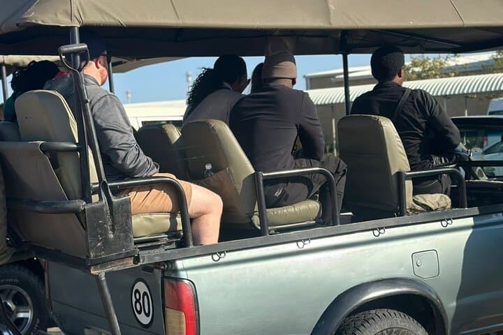 Chobe Full Day Safari: Morning Game Drive and Chobe River Cruise photo 4