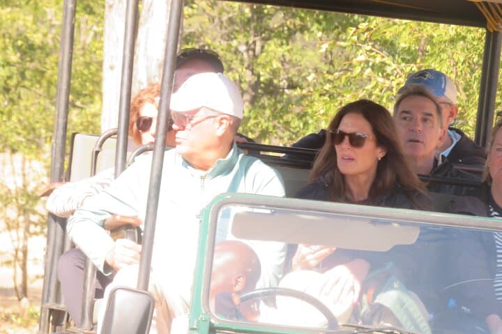 Chobe Full Day Safari: Morning Game Drive and Chobe River Cruise