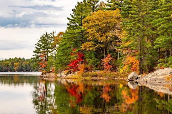Cranberry Plunge & Hardy Lake Hike: Autumn Day Trip in Muskoka photo 2