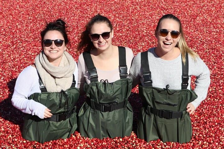 Cranberry Plunge & Hardy Lake Hike: Autumn Day Trip in Muskoka