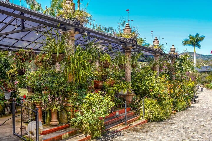 Vallarta Botanical Garden Private Tour — Flora, Wildlife & Tequila Tasting photo 4