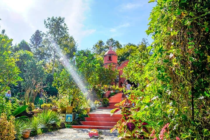 Vallarta Botanical Garden Private Tour — Flora, Wildlife & Tequila Tasting