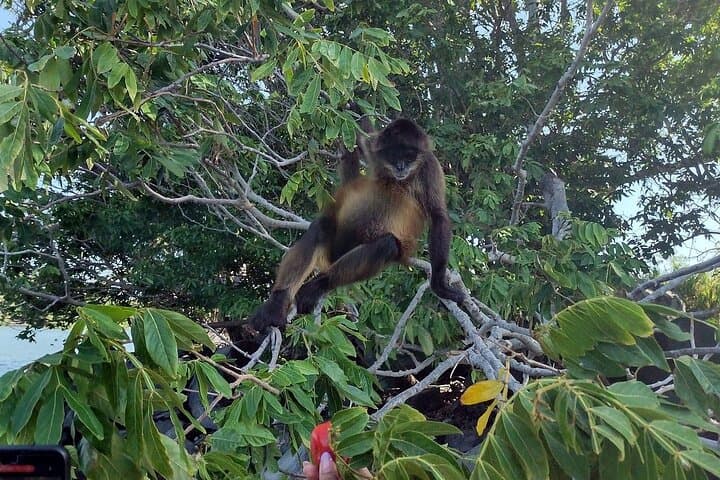 Complete Granada and Masaya Day Tour: Lake Islets, Markets & Masaya Volcano photo 4