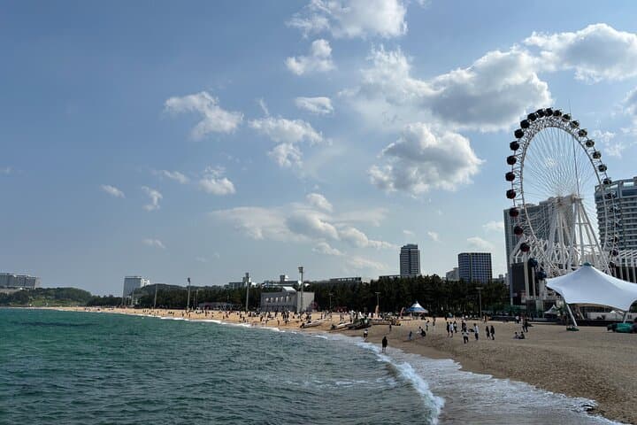 Sokcho Gourmet Tour: Seafood Markets, Abai Village & Shoreline Cafes photo 6