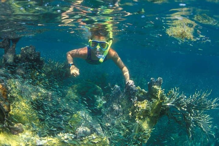 Mun Island Snorkel & BBQ: Hòn Mun Coral Reef Tour from Nha Trang photo 3