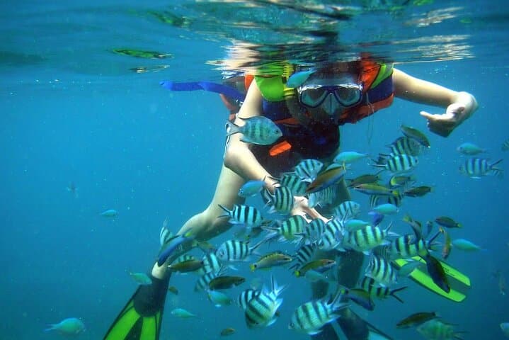 Mun Island Snorkel & BBQ: Hòn Mun Coral Reef Tour from Nha Trang