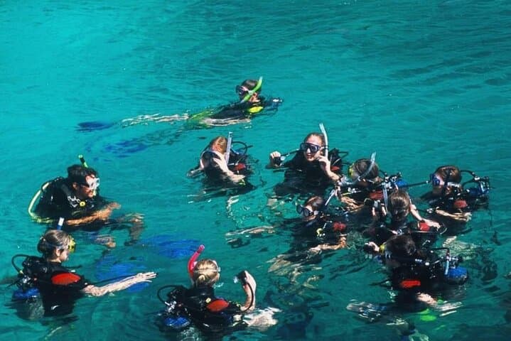 Mun Island Snorkel & BBQ: Hòn Mun Coral Reef Tour from Nha Trang photo 5