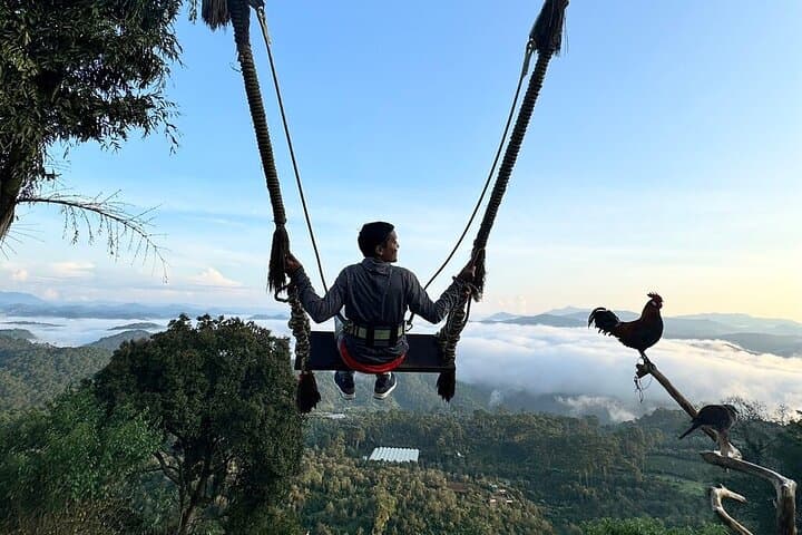 Da Lat Sunrise Cloud Hunting: Cau Dat Tea Hills & Dawn Views