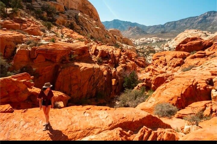 Red Rock Canyon Shared Scenic Loop Drive from Las Vegas photo 3