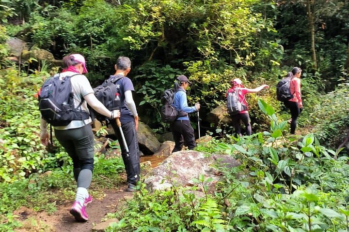 Ta Lien Son Peak 2-Day Trek from Sapa: Primeval Forest and Ridge Views photo 6