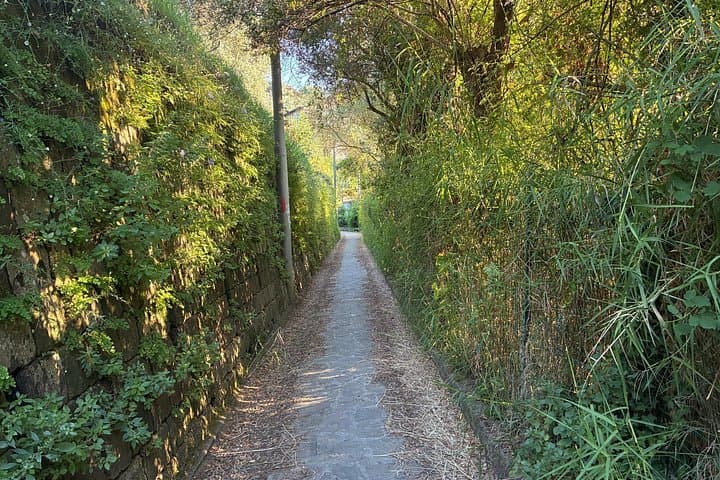 Sunset Hike to Bagni della Regina Giovanna — Sorrento Evening Walk & Swim photo 4
