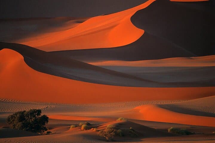 6-Day Namibia Dunes & Wildlife Lodge Safari: Etosha, Sossusvlei & Skeleton Coast photo 3