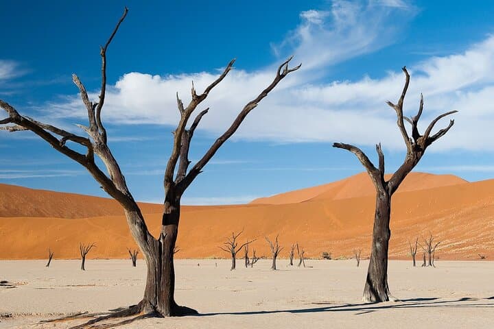 6-Day Namibia Dunes & Wildlife Lodge Safari: Etosha, Sossusvlei & Skeleton Coast photo 4