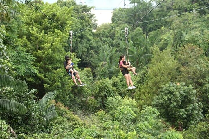 MegaZip Sentosa: Zipline Over Jungle, Beach & Sea in Singapore photo 3