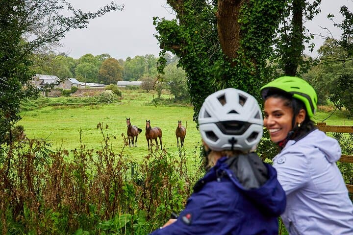 Harbour to Market: Cobh to Cork Electric Bike Tour Across Cork Harbour photo 4