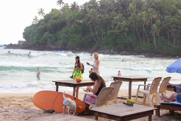 Private Tailor-Made Multi-Day Tours Across Sri Lanka photo 5