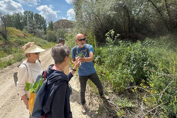 Cappadocia Foraging & Gastronomy: Mustafapaşa to Gomeda Valley