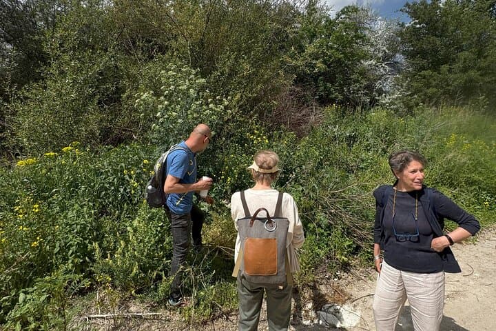 Cappadocia Foraging & Gastronomy: Mustafapaşa to Gomeda Valley photo 2