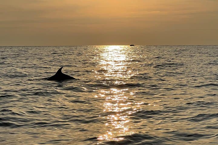 Poreč Sunset Dolphin Cruise — Private Speedboat Tour to Sveti Nikola photo 3