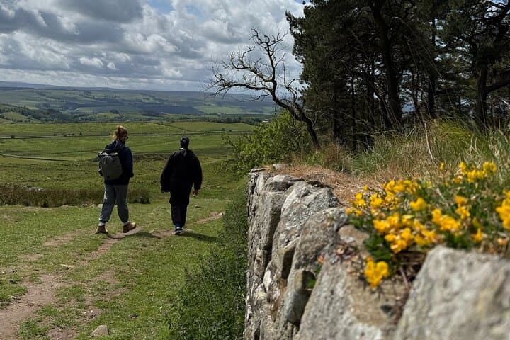 Highlights of Hadrian’s Wall: Guided 4‑Mile Walk from The Sill photo 3