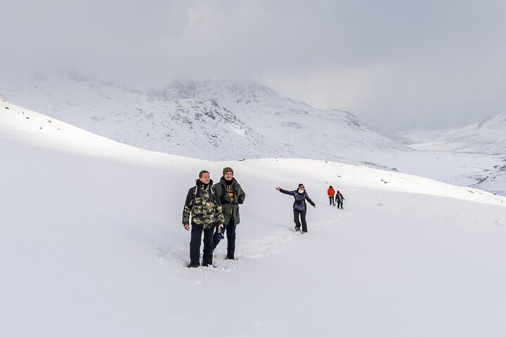 Tromsø Arctic Landscapes Hiking & Snowshoeing — Kvaløya Off‑Road Adventure photo 1