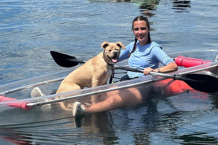 Paddle with Pups in Paradise — Dog-Friendly Paddleboard & Kayak on Lake Ivanhoe photo 3