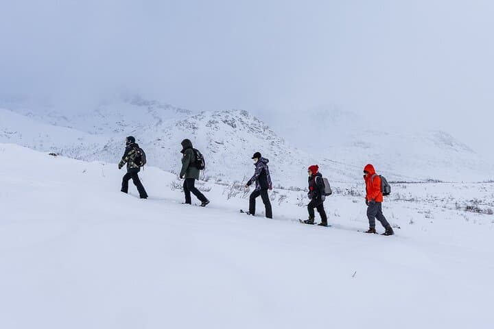Tromsø Arctic Landscapes Hiking & Snowshoeing — Kvaløya Off‑Road Adventure photo 3