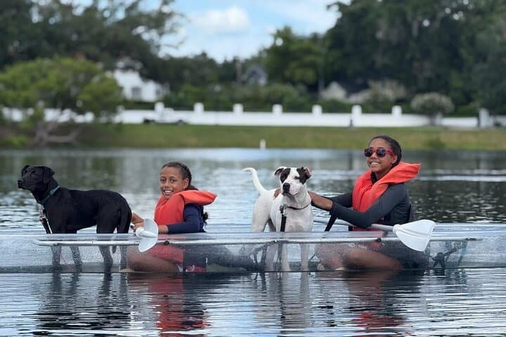 Paddle with Pups in Paradise — Dog-Friendly Paddleboard & Kayak on Lake Ivanhoe