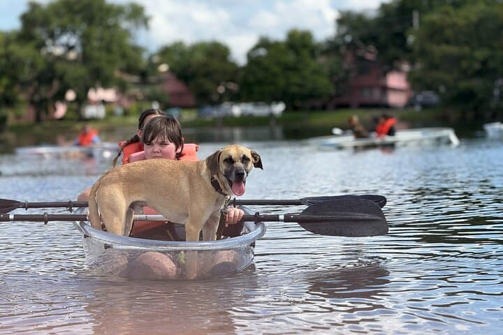 Paddle with Pups in Paradise — Dog-Friendly Paddleboard & Kayak on Lake Ivanhoe photo 2