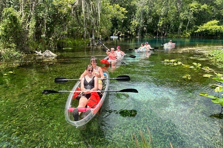 Clear Kayak & Paddleboard Manatee Adventure at Silver Springs State Park photo 6