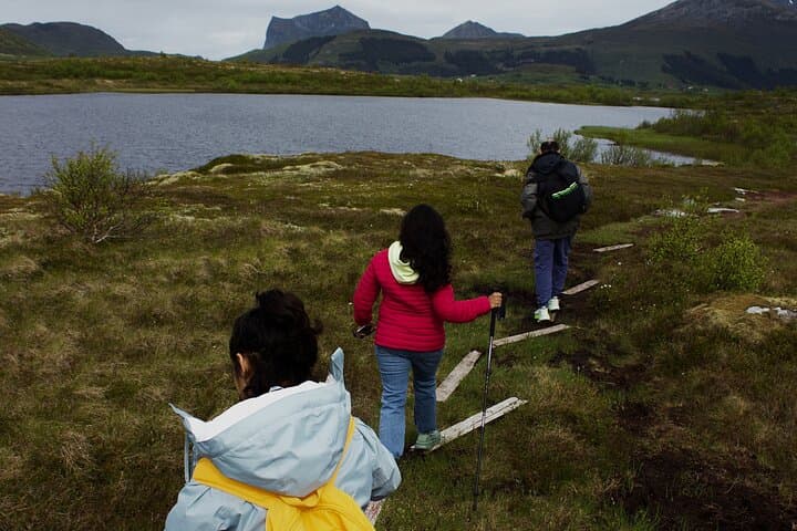 Leknes Archipelago Mini Hike: Easy Wetland Walks & Mountain Views photo 3