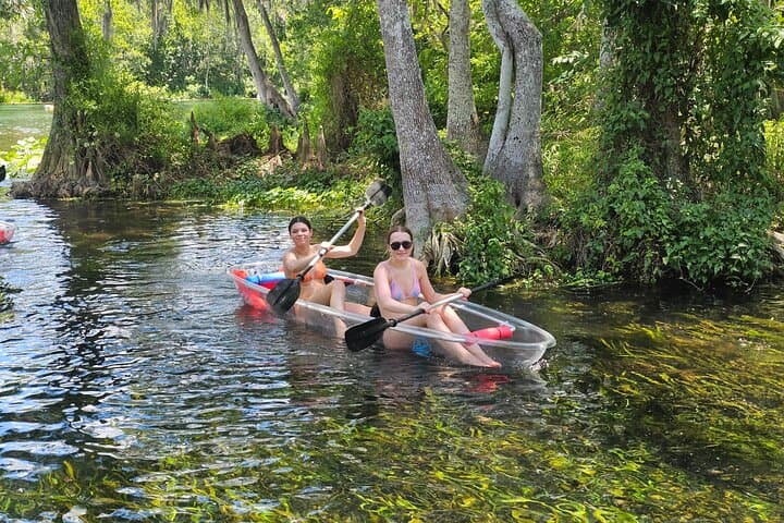 Clear Kayak Gator Viewing at Silver Springs: Paddle the Crystal Silver River photo 2