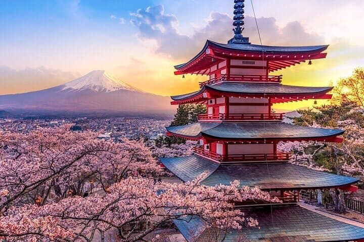 Private Mount Fuji Day Tour from Tokyo — Chureito Pagoda, Kawaguchi & Oshino Hakkai photo 3