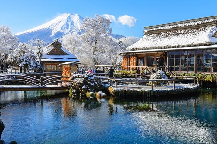 Private Mount Fuji Day Tour from Tokyo — Chureito Pagoda, Kawaguchi & Oshino Hakkai photo 4