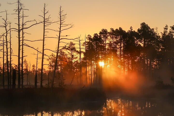 Riga Sunrise Paddleboard Tour to Cenas Tirelis Bog Lake photo 6