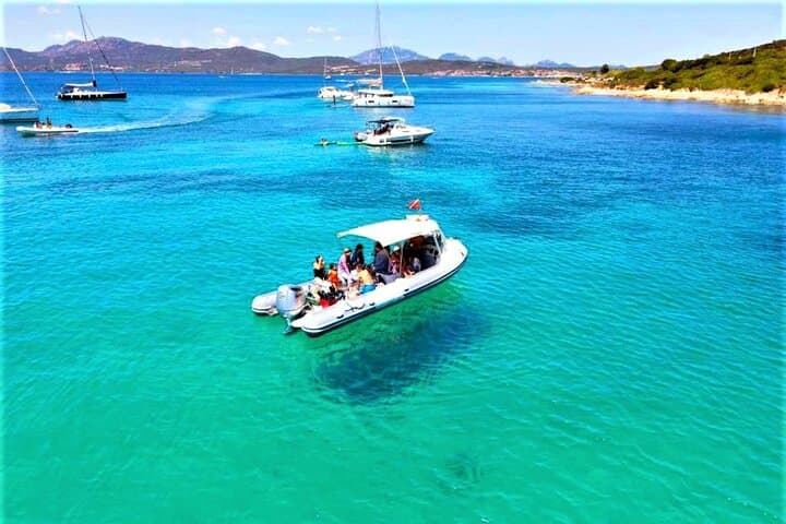 Olbia RIB Tour to Capo Figari: Dolphin Watching, Snorkeling & Cala Moresca photo 6
