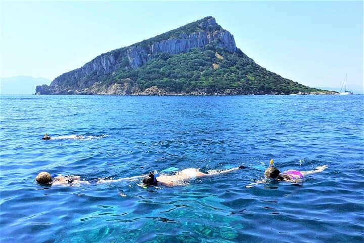 Olbia RIB Tour to Capo Figari: Dolphin Watching, Snorkeling & Cala Moresca photo 3
