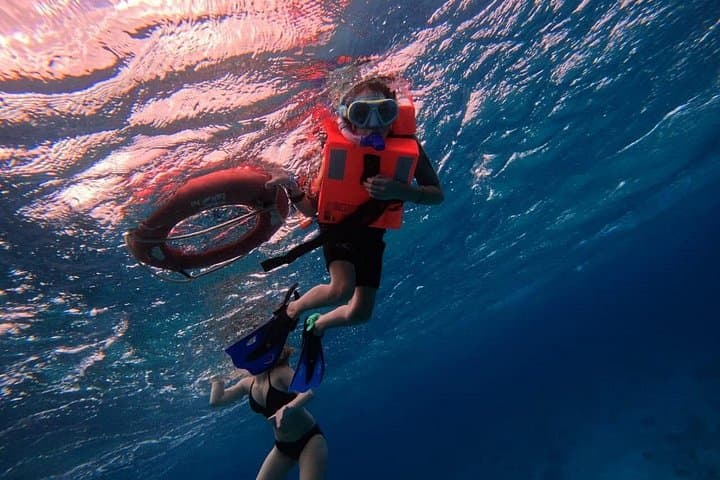 Snorkel Chankanaab Park, Cozumel: Mesoamerican Reef, Sea Lions & All‑You‑Can‑Eat Buffet photo 1