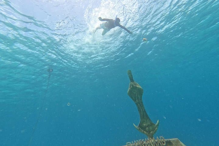 Snorkel Chankanaab Park, Cozumel: Mesoamerican Reef, Sea Lions & All‑You‑Can‑Eat Buffet photo 2