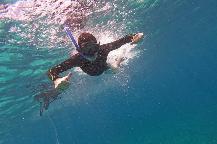 Snorkel Chankanaab Park, Cozumel: Mesoamerican Reef, Sea Lions & All‑You‑Can‑Eat Buffet photo 3