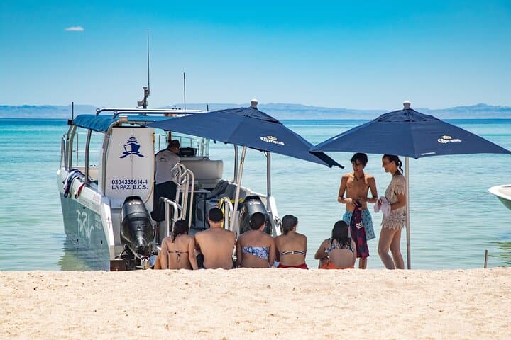 Isla Espíritu Santo Catamaran Day Tour: Swim With Sea Lions & Snorkel the Sea of Cortez photo 3
