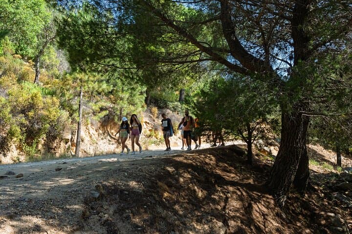 Monte Nieddu Quad Adventure: Natural Pools & Sardinian Tasting near San Teodoro photo 6