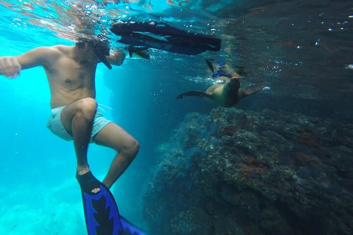 Isla Espíritu Santo Catamaran Day Tour: Swim With Sea Lions & Snorkel the Sea of Cortez photo 4