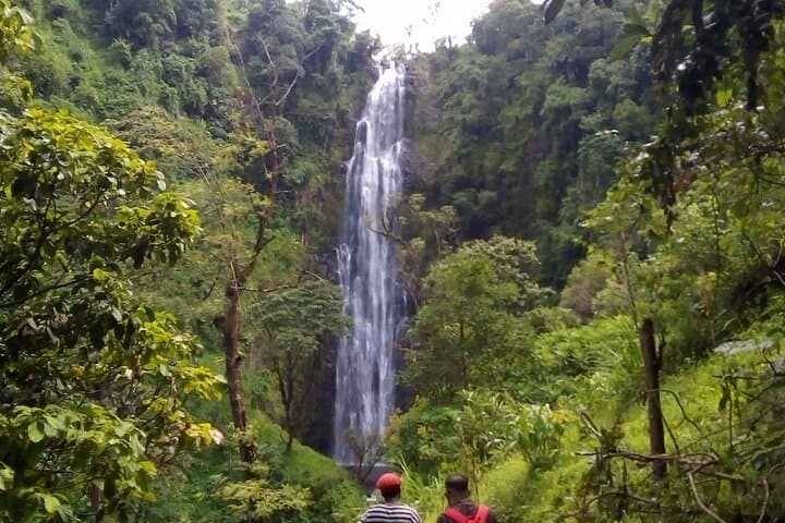 Materuni Waterfalls & Coffee Tour from Moshi: Day Trip Guide