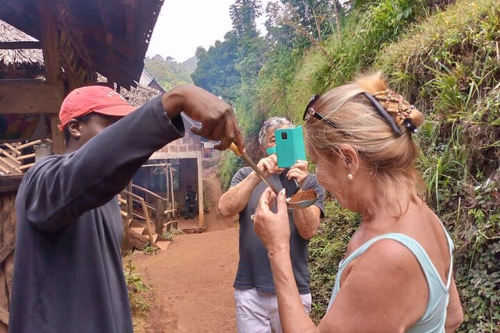 Materuni Waterfalls & Coffee Tour from Moshi: Day Trip Guide photo 2