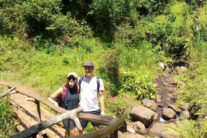 Materuni Waterfalls & Coffee Tour from Moshi: Day Trip Guide photo 4