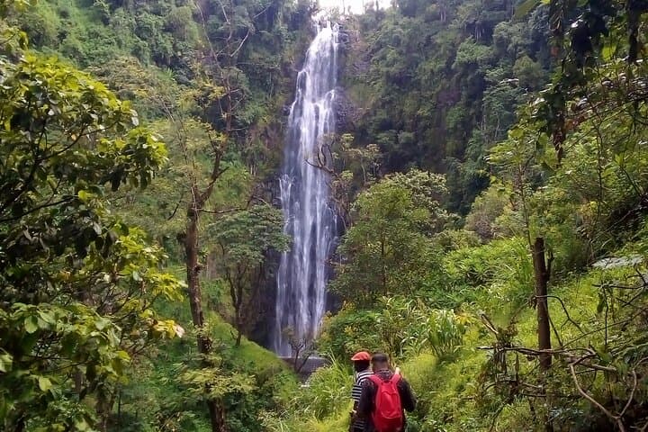 Materuni Waterfalls & Coffee Tour from Moshi: Day Trip Guide photo 6